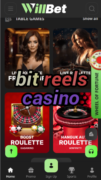 Bit Reels Casino - Bitcoin Slot Machines-casinoorder.vip