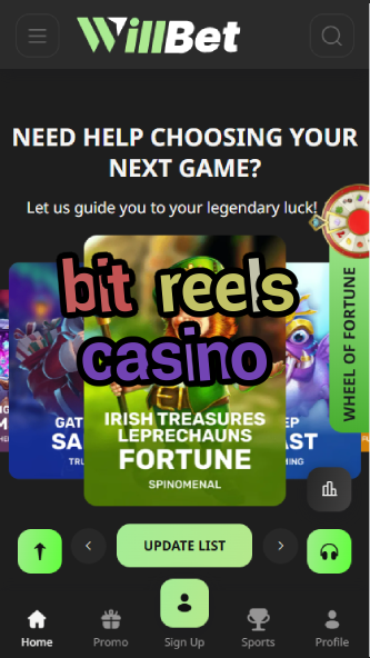 Bit Reels Casino - Bitcoin Slot Machines-casinoorder.vip