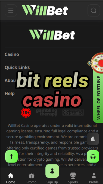 Bit Reels Casino - Bitcoin Slot Machines-casinoorder.vip