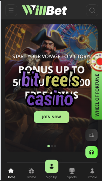 Bit Reels Casino - Bitcoin Slot Machines-casinoorder.vip